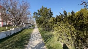 По улочкам станицы Натухаевская / Попала в очень неприятную ситуацию