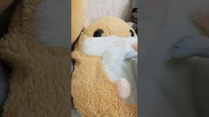 Поздравляем! С 14 ПД