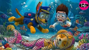 Щенячий патруль и Маршалл. Залипательное видео. Мультфильм для детей и малышей. Анимация 377