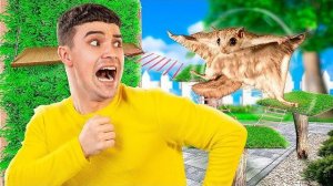 Строим дом - лабиринт для летающих белок! Мы приютили животных