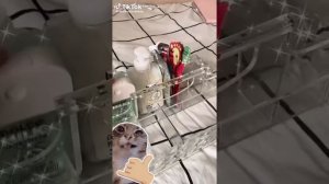 я вам не указ? а вы тоже мне не указ
и вообще то я не сруслан, а Руслан