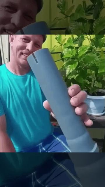 28 сбор ягод смородины