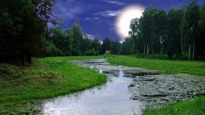 Украинская свадьба - Течет речка