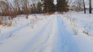 НЕДОМУЖИК ДИМОН АНТИКРАЮШКИН