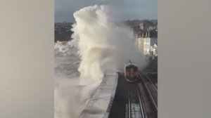 Если Бы Это Не Сняли На Камеру, Никто Бы Точно Не Поверил