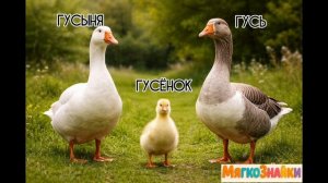 Мама папа и малыш на ферме 🐄 | Как говорят животные | Развивающее видео