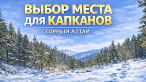 ГДЕ ПОСТАВИТЬ КАПКАНЫ НА СОБОЛЯ?! Чьи следы в лесу? | Горный Алтай