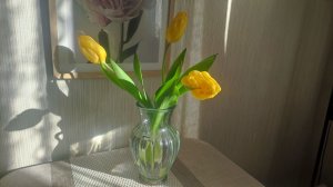 Искусство размеренной жизни.