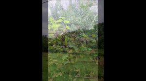 Карина Королева-Гембицкая Пьеса "УМИРОТВОРЕНИЕ"