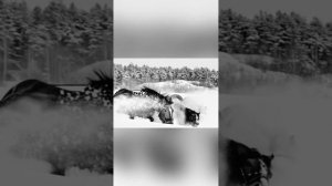 «РАЗНОМАСТНЫЕ» - слова и видео: Нина Немирова; музыка и исполнение: ТвойХит.рф.#шансондлядуши#кони