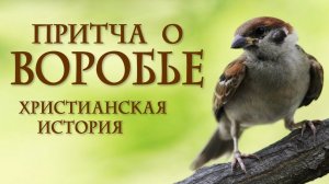 Притча о воробье (Христианская история)
