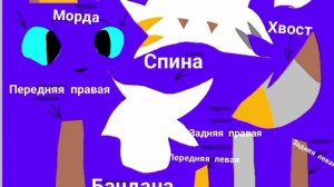 реф моей ос