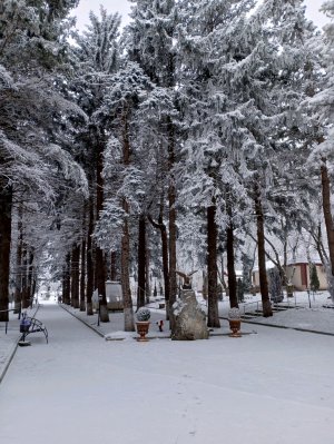 старческие бредни и предсказания