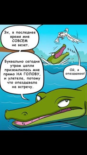 Овца пляшет