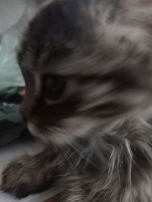 играю в лонг драйв