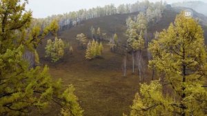 Возьмите на урок: Иван Бунин «Первый снег»