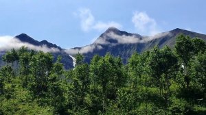 Камчатка привал.... 02.07.23.