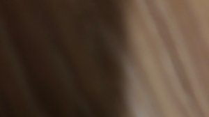 Обновил фигурку Шимо, норм теперь?