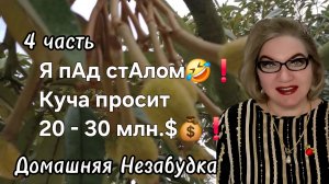 4 часть. Я пАд стАлом🤣❗️Куча просит 20 - 30 млн.$💰❗️