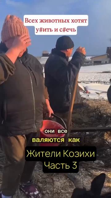 Село Козиха, Сибирь. Заставляют убивать здоровых коров