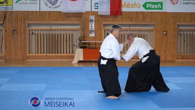 14.Aikido Gyaku Hanmi Ikkyo Ura Shishiya Sensei Pilsen 2023