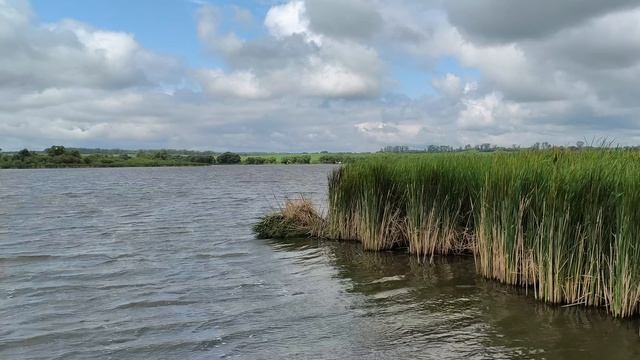Carpfishing, карпфишинг