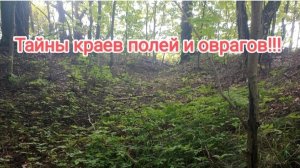 Вот что можно найти с металлоискателем исследуя края полей и ниши оврагов!!!