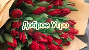 Открытки доброе утро хорошего дня пусть день принесет ☀️🌞