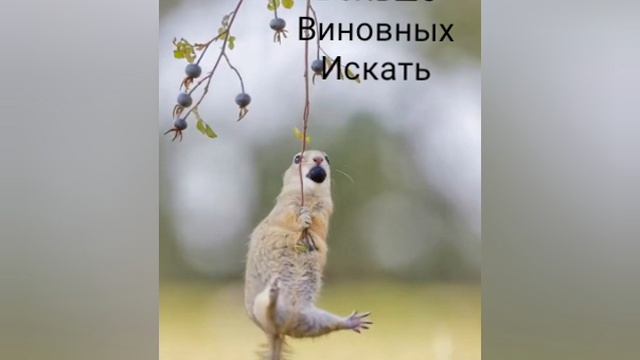 Благо дарить