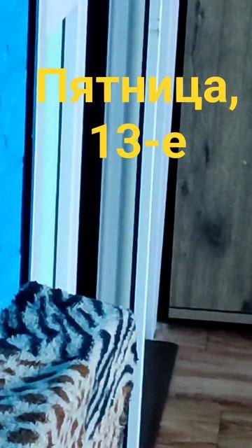 Пятница, 13-е. Кот ушел на радугу 36 дней назад. @tutsi-dieti