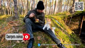 Тайное бункерное убежище в лесу. Искусство выживания от "Выживание в лесу"