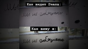 Вчерашний ситуэйшен