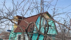 Повреждение яблони и к чему это приводит!!!🌳🌳🌳