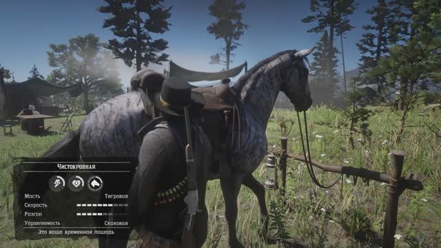 RDR2 Чистокровная