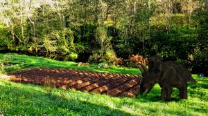 Немного лета ( Обработка видео в новой программе )