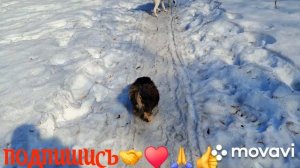 🖋️🚀ВСЕ ВЧДЫЕ И НЕВЕСЁЛЫЕ,НО ИДЁМ ВПЕРЁД💃🔥 МОИ БУДНИ🖋️🚀