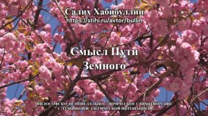Смысл пути земного
