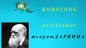 Первая наглядная демонстрация происхождения вида