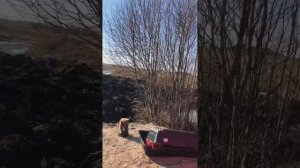 Гефест выстрелил так выстрелил...