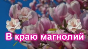 В краю магнолий...