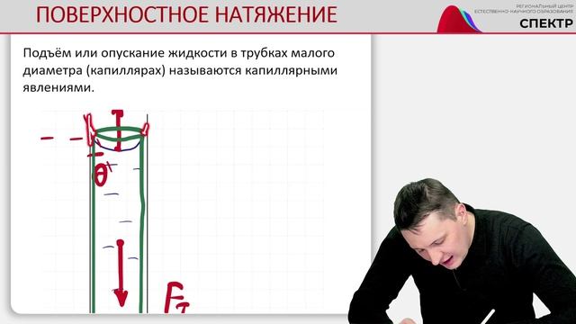 Капиллярные явления