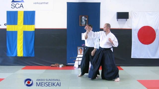16.Aikido Ai Hanmi Ikkyo Ura And Timing Of Irimi From Tsuki, Shishiya Sens