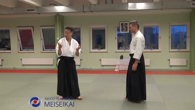 4.Aikido Gyaku Hanmi Kotegaeshi Omote, Shishiya Sensei Malmö 2018