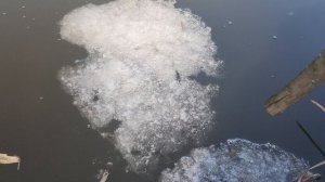 Lake, March 2026 (5)