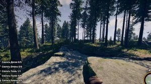 Форест🌳🌳🌳🌳