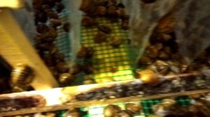 Второй день после пробуждения. Сезон 2026г.