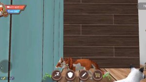 Пятая часть лиры