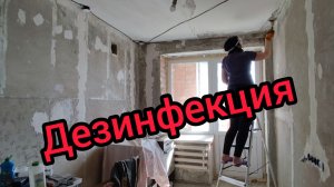 У нас ЖАРА/Проводим дезинфекцию в КВАРТИРЕ/Закупка в Светофоре