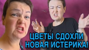 РОЗЫ СДОХЛИ, НАЧАЛАСЬ ИСТЕРИКА. ПИРАТСКАЯ ЖИЗНЬ. ОБЗОР.