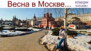 Весна в Москве  |  Spring in Moscow или КОТоБУДНИ от 14 марта 2026 г.